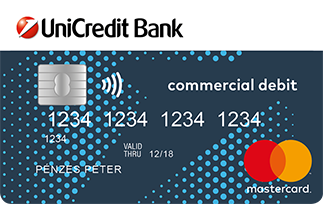 MasterCard Business Silver