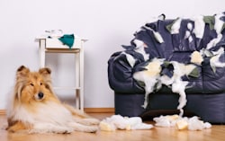 váratlan problémából adódó költség